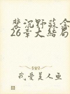 裴沉野苏念辞第26章大结局