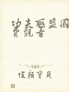 功夫联盟国语免费观看封面