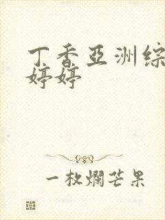 丁香亚洲综合色婷婷封面