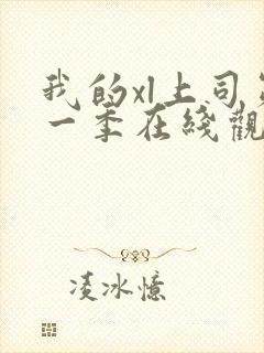 我的xl上司第一季在线观看