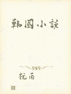 韩国小说封面