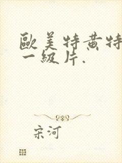 欧美特黄特黄的一级片.