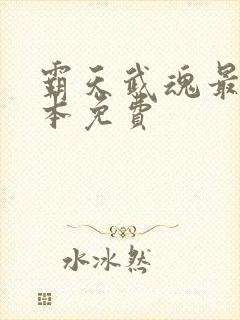 霸天武魂最新全本免费