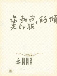 你和我的倾城时光tv版封面