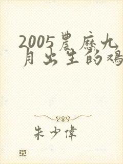 2005农历九月出生的鸡女命运如何