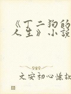 《丁二狗的逍遥人生》小说