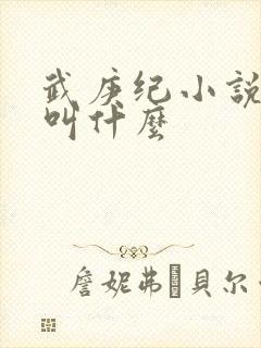 武庚纪小说原著叫什么封面