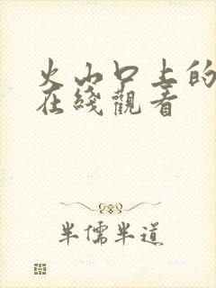 火山口上的两人在线观看