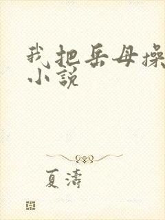 我把岳母操了的小说