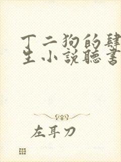 丁二狗的肆意人生小说听书