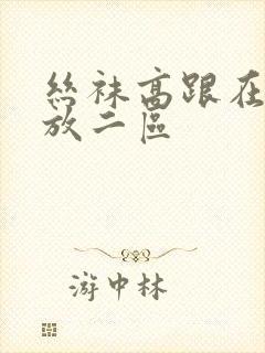 丝袜高跟在线播放二区