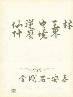 仙逆中王林最后什么境界