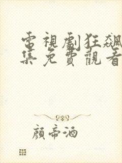 电视剧狂飙39集免费观看高清封面