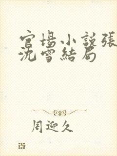 官场小说张俊和沈雪结局