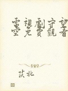 电视剧守望的天空免费观看