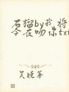 石榴by我将在今夜吻你txt下载封面
