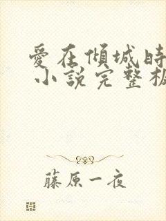 爱在倾城时光里 小说完整板