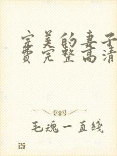 完美的妻子3免费完整高清电视剧在线看