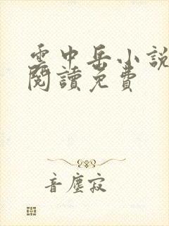 云中岳小说在线阅读免费