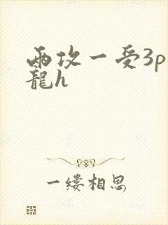 两攻一受3p双龙h