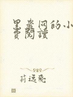 黑岩网的小说免费阅读