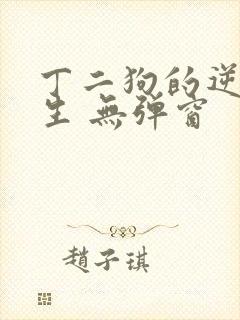 丁二狗的逆袭人生 无弹窗