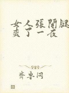 女人张开腿让我爽了一夜封面