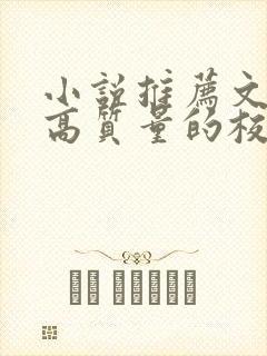 小说推荐文笔好高质量的校园文封面