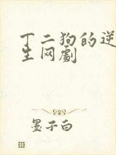 丁二狗的逆袭人生网剧