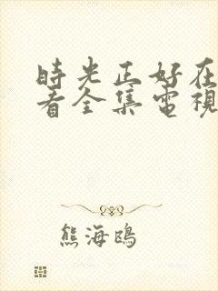 时光正好在线观看全集电视剧免费