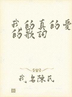 我的真的爱上你的歌词