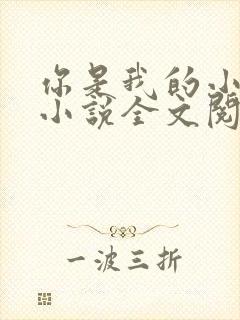 你是我的小确幸小说全文阅读