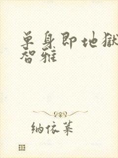 单身即地狱1宋智雅封面