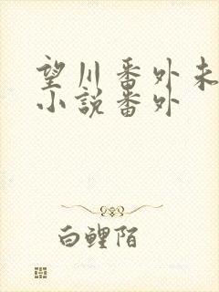 望川番外未可可小说番外