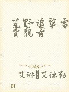 荒野追击电影免费观看