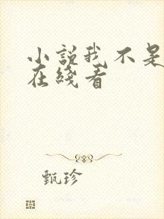 小说我不是戏神在线看封面