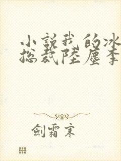 小说我的冰山女总裁陆尘李清瑶