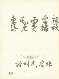 东风雨电视剧全集免费播放在线观看