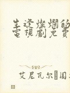 生逢灿烂的日子电视剧免费在线观看封面