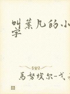 叫叶凡的小说名字