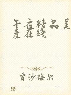 午夜精品美女国产在线