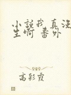 小说我真没想重生啊 番外