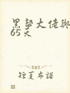 黑帮大佬与我365天