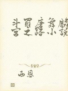 斗罗唐舞麟的后宫之路小说