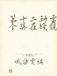 第十二秒电视剧全集在线观看免费