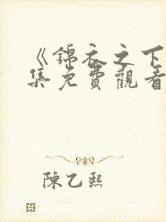 《锦衣之下》全集免费观看封面