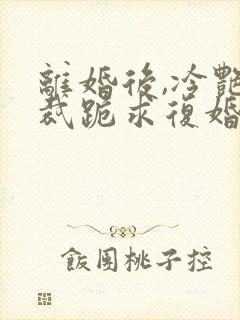 离婚后,冷艳总裁跪求复婚免费在线阅读封面