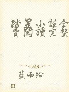 踏星小说全文免费阅读完整版无弹窗封面