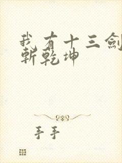 我有十三剑剑剑斩乾坤