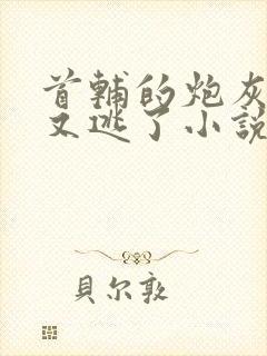 首辅的炮灰原配又逃了小说